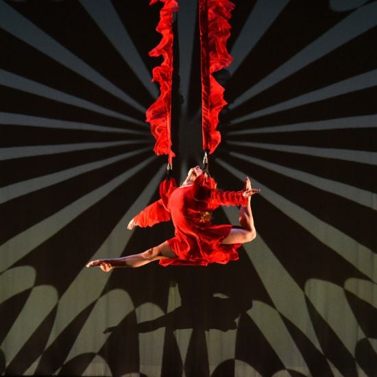 More Info for MOMIX: Alice